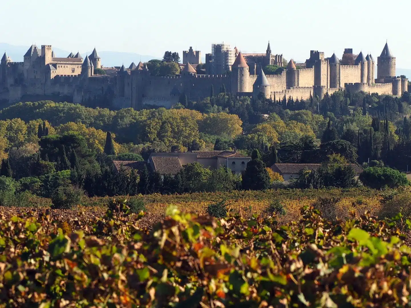 découvrez les merveilles naturelles et culturelles des sites de l'aude et de l'hérault. partez à l'aventure à travers des paysages époustouflants, des villages pittoresques et un riche patrimoine historique. idéal pour les amoureux de la nature et les curieux en quête de nouvelles expériences.